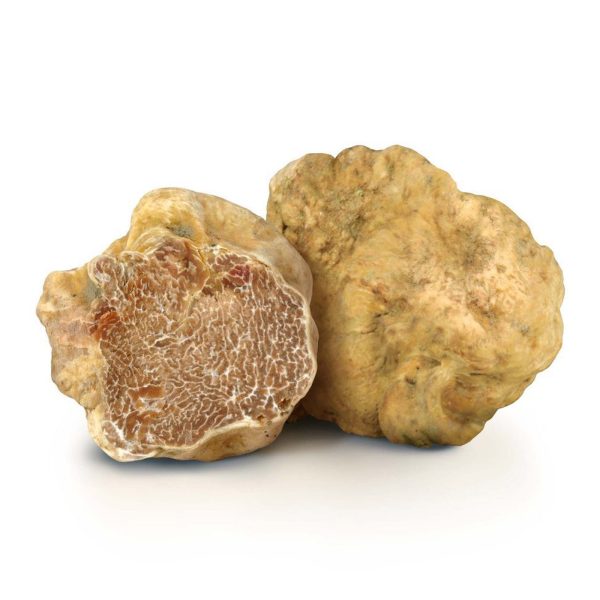 Acquisto di tartufo bianco pregiato per privati e ristoranti